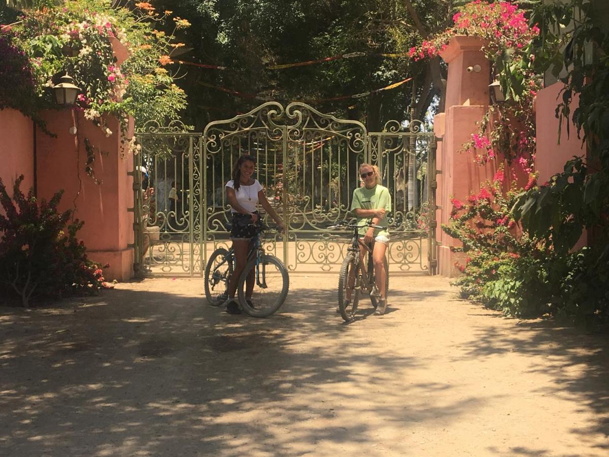 Ica Adventures Bed & Breakfast ภายนอก รูปภาพ